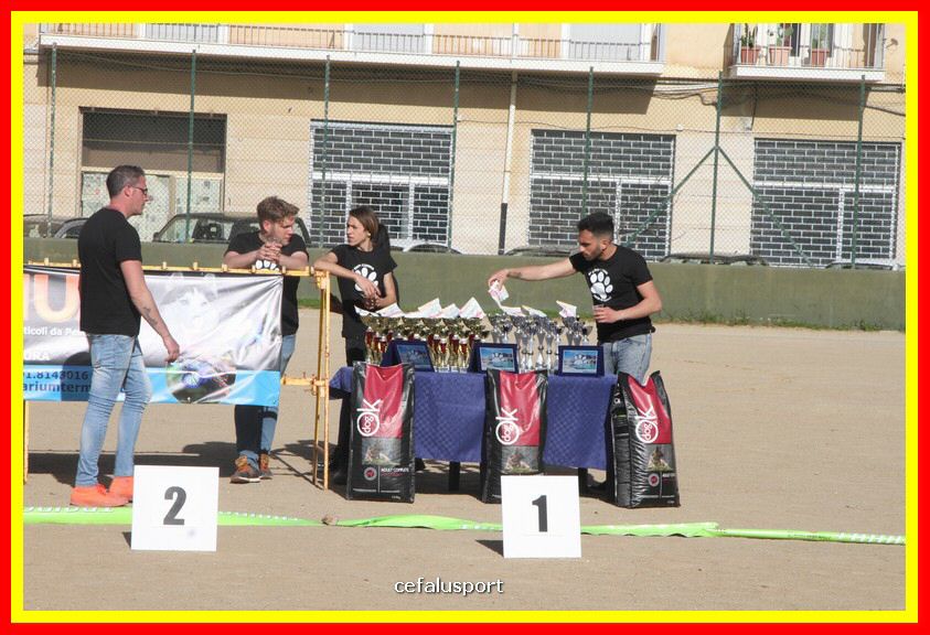 180311 mostra_canina 026.jpg